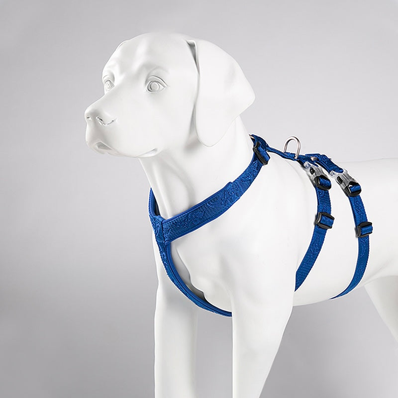 Sicherheits- & Angstgeschirr für Hunde