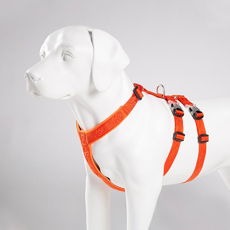 Sicherheits- & Angstgeschirr für Hunde